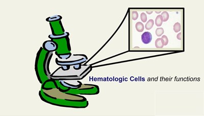 Hematologic Cells and their Functions: Blood Cell Identification (Screencast)