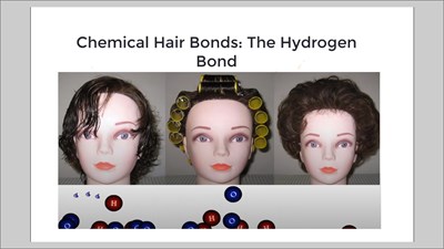 Chemical Hair Bonds: The Hydrogen Bond (Screencast)
