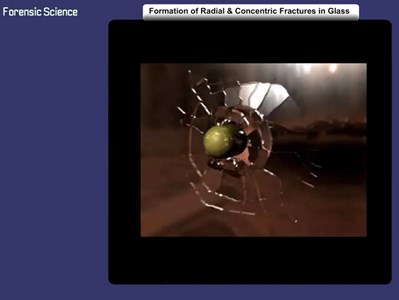 Formation of Radial and Concentric Fractures in Glass (Screencast)