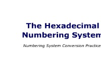 Hexadecimal Number Conversion Practice Problems