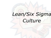 Lean/Six Sigma Culture