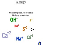 Ion Charges