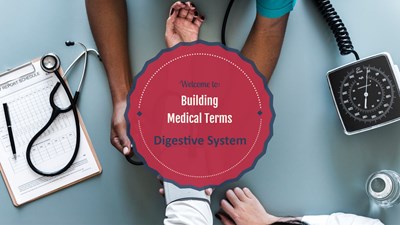 Building Medical Terms for the Digestive System