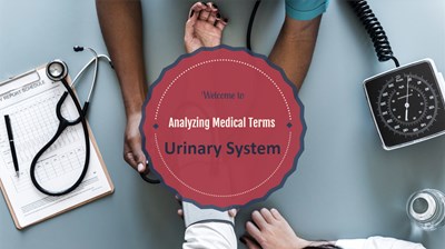 Analyzing Medical Terms:  Urinary System