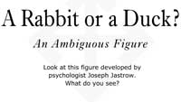 A Rabbit or a Duck: An Ambiguous Figure