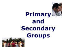 Primary and Secondary Group Identification
