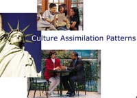 Culture Assimilation Patterns