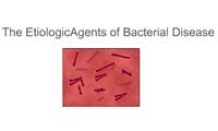 Etiologic Agents of Bacterial Diseases 