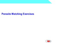 Parasite Matching Exercises