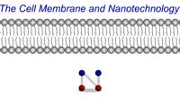 The Cell Membrane and Nanotechnology