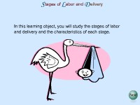 Stages of Labor and Delivery
