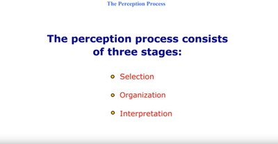 The Perception Process (Screencast)