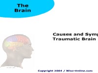 Causes and Symptoms of Traumatic Brain Injury 