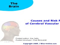 Causes and Risk Factors of Cerebral Vascular Accidents