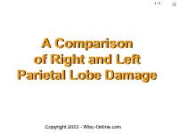 A Comparison of Right and Left Parietal Lobe Damage
