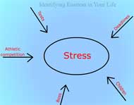 Identifying Stress in Your Life