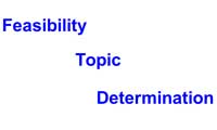 Feasibility Topic Determination