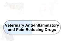 Veterinary Anti-Inflammatory and Pain-Reducing Drugs