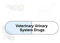 Veterinary Urinary System Drugs