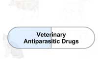 Veterinary Antiparasitic Drugs