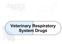 Veterinary Respiratory System Drugs