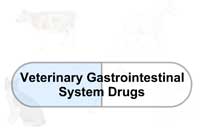 Veterinary Gastrointestinal System Drugs
