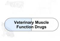 Veterinary Muscle Function Drugs