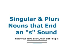 Singular and Plural Nouns Ending in an "s" Sound