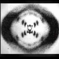 Wasilewski Science thumbnail
