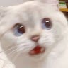 Afnie
